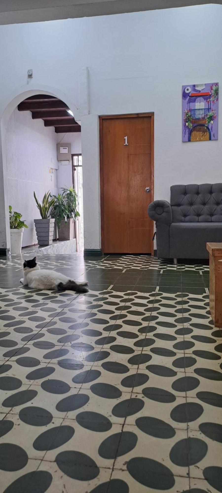 Hostal Casa Lara Cartagena Exterior foto